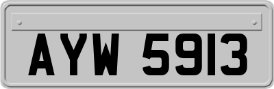 AYW5913