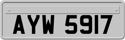 AYW5917