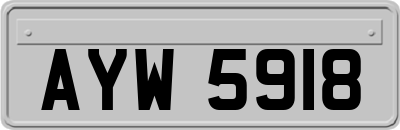AYW5918