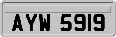AYW5919
