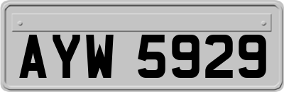 AYW5929