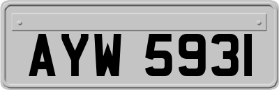 AYW5931