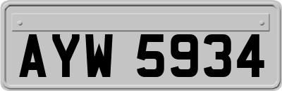 AYW5934