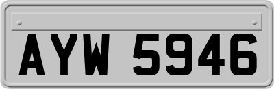 AYW5946