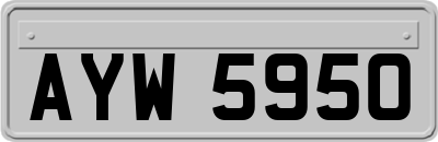 AYW5950