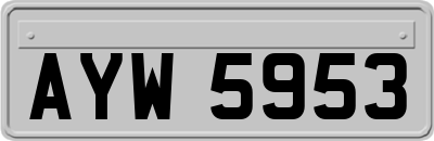 AYW5953