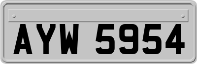 AYW5954