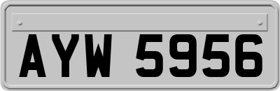 AYW5956