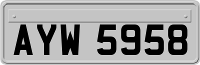 AYW5958