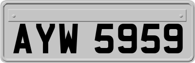 AYW5959