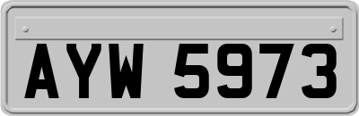 AYW5973