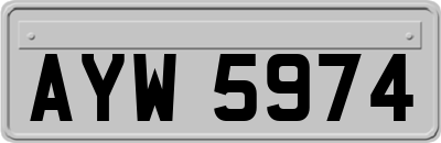AYW5974