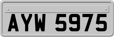 AYW5975