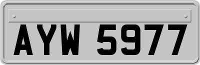 AYW5977