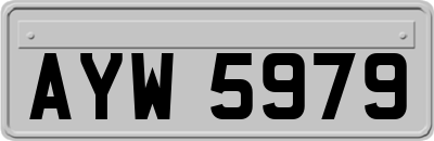 AYW5979