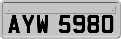 AYW5980