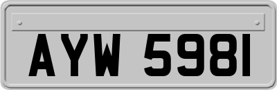 AYW5981