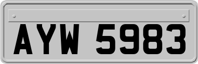 AYW5983