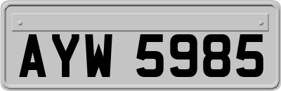 AYW5985