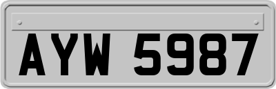 AYW5987