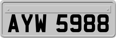 AYW5988