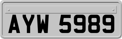 AYW5989