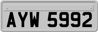 AYW5992