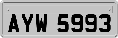 AYW5993