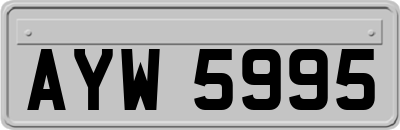 AYW5995