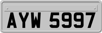 AYW5997