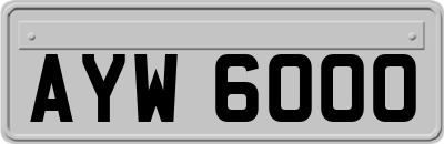 AYW6000