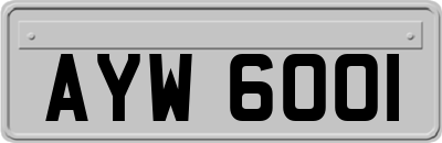 AYW6001