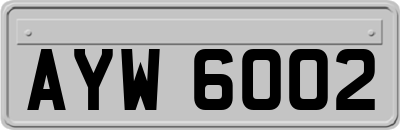 AYW6002