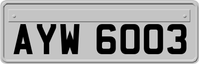 AYW6003