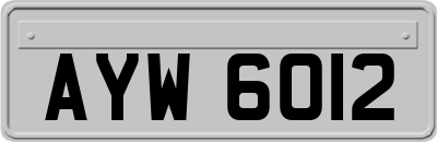 AYW6012