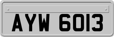 AYW6013