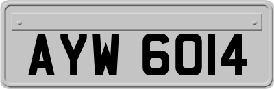 AYW6014