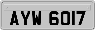 AYW6017
