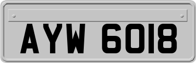 AYW6018