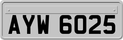 AYW6025