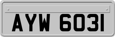 AYW6031
