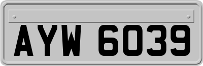 AYW6039