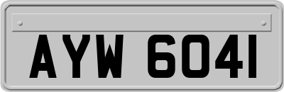 AYW6041