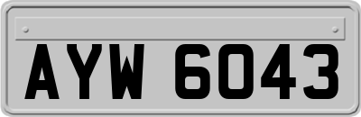 AYW6043