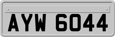 AYW6044