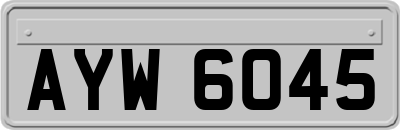 AYW6045