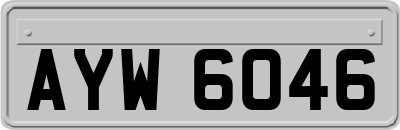 AYW6046