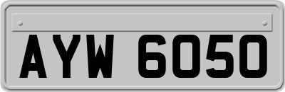 AYW6050