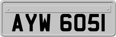 AYW6051