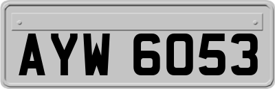 AYW6053